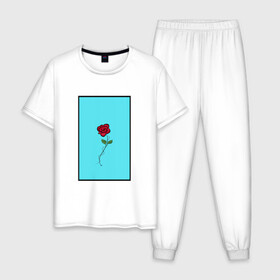 Мужская пижама хлопок с принтом Одинокая роза в Санкт-Петербурге, 100% хлопок | брюки и футболка прямого кроя, без карманов, на брюках мягкая резинка на поясе и по низу штанин
 | rose | колючая проволока | колючки | роза | шипы