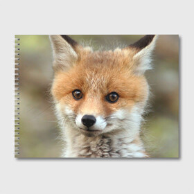 Альбом для рисования с принтом Миленький лисенок в Санкт-Петербурге, 100% бумага
 | матовая бумага, плотность 200 мг. | Тематика изображения на принте: fox | foxy | животное | звери | лиса | лисенок | лисичка | милая | рыжая | фокс