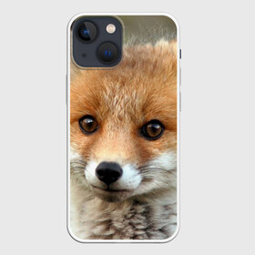 Чехол для iPhone 13 mini с принтом Миленький лисенок в Санкт-Петербурге,  |  | fox | foxy | животное | звери | лиса | лисенок | лисичка | милая | рыжая | фокс