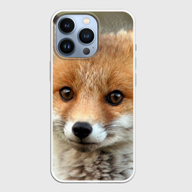 Чехол для iPhone 13 Pro с принтом Миленький лисенок в Санкт-Петербурге,  |  | fox | foxy | животное | звери | лиса | лисенок | лисичка | милая | рыжая | фокс