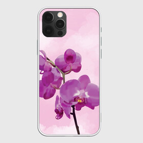 Чехол для iPhone 12 Pro с принтом Нежная орхидея в Санкт-Петербурге, силикон | область печати: задняя сторона чехла, без боковых панелей | blossom | nature | orchid | женственность | красивые цветы | орхидеи | орхидея | фаленопсис