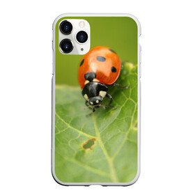 Чехол для iPhone 11 Pro Max матовый с принтом Божья коровка в Санкт-Петербурге, Силикон |  | божья | жук | жуки | жучки | жучок | зелень | коровка | лист | листок | листья | насекомое | насекомые | природа | пятнистые | пятнистый | растение | растения | фауна | флора