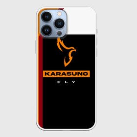 Чехол для iPhone 13 Pro Max с принтом Старшая школа Карасуно Haikyu в Санкт-Петербурге,  |  | anime | haikyu | haikyuu | karasuno | karasuno high | manga | аниме | волейбол | волейбольный клуб | ворон | вороны | карасуно | крылья | летать | лого | манга | надпись | птица | старшая школа | хаику | хаикую