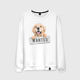 Мужской свитшот хлопок с принтом Dog Wanted в Санкт-Петербурге, 100% хлопок |  | cute | dog | wanted | woof | гав | забавный | пес | песель | песик | смешной | собака | собачка | щенок