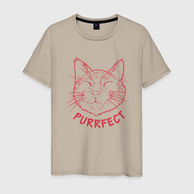 Мужская футболка хлопок с принтом Purrfect в Санкт-Петербурге, 100% хлопок | прямой крой, круглый вырез горловины, длина до линии бедер, слегка спущенное плечо. | animal | cat | cute | kitty | meow | друг | животные | киска | кися | китти | кот | котенок | котик | котэ | кошечка | кошка | мур | мяу | питомец