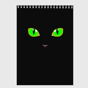 Скетчбук с принтом КОШАЧЬИ ГЛАЗКИ в Санкт-Петербурге, 100% бумага
 | 48 листов, плотность листов — 100 г/м2, плотность картонной обложки — 250 г/м2. Листы скреплены сверху удобной пружинной спиралью | cat | cat eyes | eyes | аниме | взгляд | глаза | глаза кошки | глазки | животные | зелёный | киса | кот | коте | котейка | котенок | котэ | котя | кошачий глаз | кошачьи глаза | кошечка | кошка | мордочка
