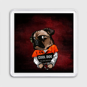 Магнит 55*55 с принтом Cool dog в Санкт-Петербурге, Пластик | Размер: 65*65 мм; Размер печати: 55*55 мм | арт | графика | животные | заключенный | звери | зек | мопс | наручники | собака