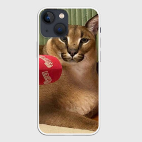 Чехол для iPhone 13 mini с принтом Шлёпа в Санкт-Петербурге,  |  | floppa | большой | военный | каракал | кот | преступник | русский | шлёпа