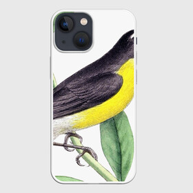 Чехол для iPhone 13 mini с принтом Птица в Санкт-Петербурге,  |  | animal | animals | bird | birds | black | blue | colorful | cool | crow | cute | forest | fun | funny | green | mountains | music | nature | pat | pink | raven | retro | tree | vintage | wildlife | yellow | ветка | желтый | животные | листья | природа | п