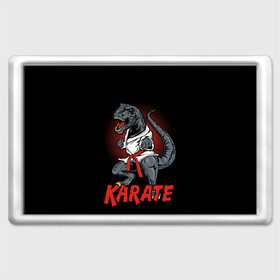 Магнит 45*70 с принтом KARATE T-REX в Санкт-Петербурге, Пластик | Размер: 78*52 мм; Размер печати: 70*45 | animal | dinosaur | fight | fighter | hunter | karate | red | sport | strong | t rex | боец | бои | динозавр | карате | сила | спорт | тиранозавр | хищник