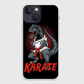 Чехол для iPhone 13 mini с принтом KARATE T REX в Санкт-Петербурге,  |  | animal | dinosaur | fight | fighter | hunter | karate | red | sport | strong | t rex | боец | бои | динозавр | карате | сила | спорт | тиранозавр | хищник