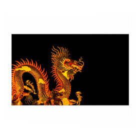 Бумага для упаковки 3D с принтом Золотой китайский дракон в Санкт-Петербурге, пластик и полированная сталь | круглая форма, металлическое крепление в виде кольца | Тематика изображения на принте: азиатский дракон | дракон | золотой | золотой азиатский дракон | золотой дракон | золотой китайский дракон | золотой японский дракон | китайский дракон | японский дракон