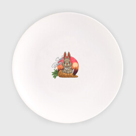 Тарелка с принтом Sweet Bunny в Санкт-Петербурге, фарфор | диаметр - 210 мм
диаметр для нанесения принта - 120 мм | закат | иллюстрация | крольченок | морковь | сладкий кролик