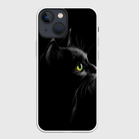 Чехол для iPhone 13 mini с принтом Черный кот в Санкт-Петербурге,  |  | взгляд | глаза | киса | киска | кот | котик | котяра | профиль | пушистый | усы
