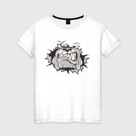Женская футболка хлопок с принтом Пёс в 3D в Санкт-Петербурге, 100% хлопок | прямой крой, круглый вырез горловины, длина до линии бедер, слегка спущенное плечо | dog | бульдог | злой | пес | псина | собака | собачка | сторожевой пес