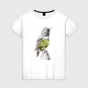 Женская футболка хлопок с принтом Птица и сад в Санкт-Петербурге, 100% хлопок | прямой крой, круглый вырез горловины, длина до линии бедер, слегка спущенное плечо | акварель | графика | дорога | калитка | крыло | куст | небо | перья | поля | птица | сад | цветы