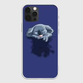 Чехол для iPhone 12 Pro с принтом Спящая коала в Санкт-Петербурге, силикон | область печати: задняя сторона чехла, без боковых панелей | koala | арт | детеныш | детёныш коалы | животное | зверь | карман на груди | коала | малыш | медведь | медвежонок | милота | милые животные | милые звери | милые зверьки | мимими | мишка | ребенок