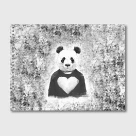 Альбом для рисования с принтом Панда Любовь Сердце Меланж  в Санкт-Петербурге, 100% бумага
 | матовая бумага, плотность 200 мг. | Тематика изображения на принте: animals | beast | panda | глаза | животные | звери | краски | любовь | меланж | милые | панда | пятна | растения | сердце | серый | цветы | чб | эвкалипт