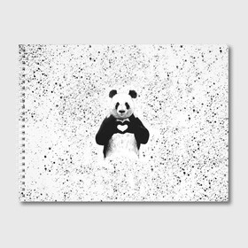 Альбом для рисования с принтом Панда Любовь Сердце Брызги в Санкт-Петербурге, 100% бумага
 | матовая бумага, плотность 200 мг. | animals | beast | panda | брызги | глаза | животные | звери | краски | любовь | милые | панда | пятна | растения | сердце | серый | точки | цветы | чб | эвкалипт
