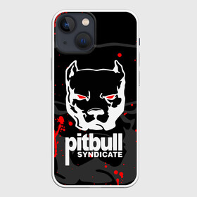 Чехол для iPhone 13 mini с принтом PITBULL SYNDICATE   ПИТБУДЬ в Санкт-Петербурге,  |  | Тематика изображения на принте: games. | pitbull syndicate | игры | питбудь синдикат | питбуль | разработчик игр | собака | эрик давидыч