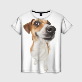 Женская футболка 3D с принтом Собака в Санкт-Петербурге, 100% полиэфир ( синтетическое хлопкоподобное полотно) | прямой крой, круглый вырез горловины, длина до линии бедер | dog | джек | джек рассел | джек рассел терьер | дог | домашние животные | рассел | рассел терьер | собака | собаки | терьер