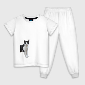 Детская пижама хлопок с принтом смотрящая кошка в Санкт-Петербурге, 100% хлопок |  брюки и футболка прямого кроя, без карманов, на брюках мягкая резинка на поясе и по низу штанин
 | Тематика изображения на принте: голова | домашнее животное | животное | зверь | кот | котёнок | кошка