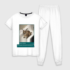 Женская пижама хлопок с принтом Шлёпа в Санкт-Петербурге, 100% хлопок | брюки и футболка прямого кроя, без карманов, на брюках мягкая резинка на поясе и по низу штанин | каракал | кот | мемы | русский кот | рысь | шлёпа