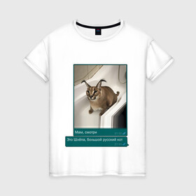 Женская футболка хлопок с принтом Шлёпа в Санкт-Петербурге, 100% хлопок | прямой крой, круглый вырез горловины, длина до линии бедер, слегка спущенное плечо | Тематика изображения на принте: каракал | кот | мемы | русский кот | рысь | шлёпа