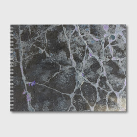 Альбом для рисования с принтом Лунный камень в Санкт-Петербурге, 100% бумага
 | матовая бумага, плотность 200 мг. | Тематика изображения на принте: art | бетон | булыжник | луна | текстура | трещина