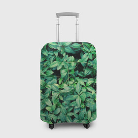 Чехол для чемодана 3D с принтом Барвинок  в Санкт-Петербурге, 86% полиэфир, 14% спандекс | двустороннее нанесение принта, прорези для ручек и колес | art | ветви. | зелень | листья | натуральное | природа | растение