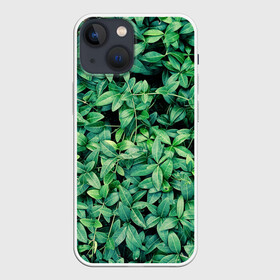 Чехол для iPhone 13 mini с принтом Барвинок в Санкт-Петербурге,  |  | art | ветви. | зелень | листья | натуральное | природа | растение