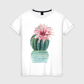 Женская футболка хлопок с принтом Кактус в Санкт-Петербурге, 100% хлопок | прямой крой, круглый вырез горловины, длина до линии бедер, слегка спущенное плечо | акварель | кактус | растения | рисунок | цветок