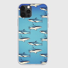 Чехол для iPhone 12 Pro Max с принтом Акулы Паттерн в Санкт-Петербурге, Силикон |  | shark | акулы | иллюстрация | морские жители | морские обитатели | паттерн | рисунок | рыбы