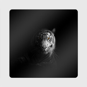 Магнит виниловый Квадрат с принтом БЕЛЫЙ ТИГР в Санкт-Петербурге, полимерный материал с магнитным слоем | размер 9*9 см, закругленные углы | animal | art | beast | cat | hunter | picture | power | strong | tiger | white | белый | благородный | гордый | дикие | животные | звери | кошки | охотник | тигр | хищник | царь