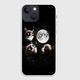 Чехол для iPhone 13 mini с принтом ГРУСТНЫЕ ЛУННЫЕ КОТЫ в Санкт-Петербурге,  |  | Тематика изображения на принте: cat | cosmo | face | memes | night | sky | stars | голова | звезды | интернет | космос | коты | кошки | лицо | луна | мем | ночь | отражение | прикол | рисунок