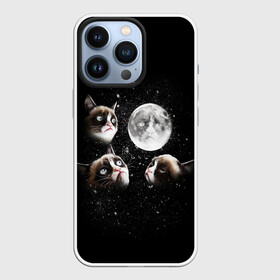 Чехол для iPhone 13 Pro с принтом ГРУСТНЫЕ ЛУННЫЕ КОТЫ в Санкт-Петербурге,  |  | cat | cosmo | face | memes | night | sky | stars | голова | звезды | интернет | космос | коты | кошки | лицо | луна | мем | ночь | отражение | прикол | рисунок
