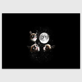 Поздравительная открытка с принтом ГРУСТНЫЕ ЛУННЫЕ КОТЫ в Санкт-Петербурге, 100% бумага | плотность бумаги 280 г/м2, матовая, на обратной стороне линовка и место для марки
 | cat | cosmo | face | memes | night | sky | stars | голова | звезды | интернет | космос | коты | кошки | лицо | луна | мем | ночь | отражение | прикол | рисунок
