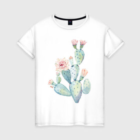 Женская футболка хлопок с принтом Нежный акварельный кактус  в Санкт-Петербурге, 100% хлопок | прямой крой, круглый вырез горловины, длина до линии бедер, слегка спущенное плечо | акварель | кактус | колючий | нежный акварельный кактус | растение | цветок