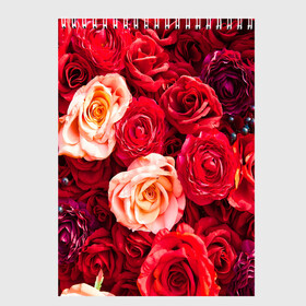 Скетчбук с принтом Букет роз в Санкт-Петербурге, 100% бумага
 | 48 листов, плотность листов — 100 г/м2, плотность картонной обложки — 250 г/м2. Листы скреплены сверху удобной пружинной спиралью | большие | букет | девушкам | красивые | пышные | розы | цветы | яркие