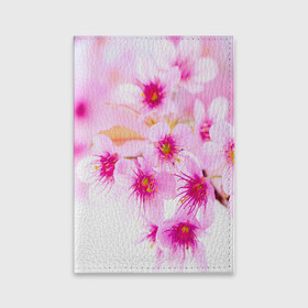 Обложка для паспорта матовая кожа с принтом Весеннее цветение вишни в Санкт-Петербурге, натуральная матовая кожа | размер 19,3 х 13,7 см; прозрачные пластиковые крепления | бутоны | весна | девушкам | красивые | розовые | сакура | цветение | цветы | яблоня