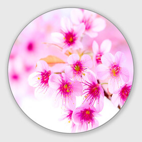 Коврик для мышки круглый с принтом Весеннее цветение вишни в Санкт-Петербурге, резина и полиэстер | круглая форма, изображение наносится на всю лицевую часть | бутоны | весна | девушкам | красивые | розовые | сакура | цветение | цветы | яблоня