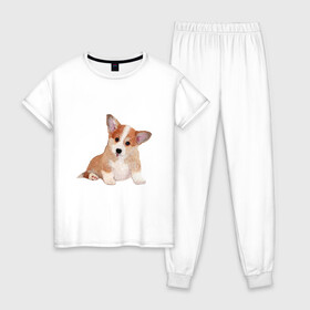 Женская пижама хлопок с принтом Fluffy Corgi в Санкт-Петербурге, 100% хлопок | брюки и футболка прямого кроя, без карманов, на брюках мягкая резинка на поясе и по низу штанин | corgi | dog | fluffy | puppy | корги | милый | пушистый | собака | щенок