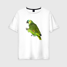 Женская футболка хлопок Oversize с принтом Попугайчик в Санкт-Петербурге, 100% хлопок | свободный крой, круглый ворот, спущенный рукав, длина до линии бедер
 | bird | parrot | wings | крылья | попугай | птица