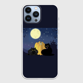 Чехол для iPhone 13 Pro Max с принтом Котострашилка в Санкт-Петербурге,  |  | halloween | helloween | ведьма | котики | мистика | мистический дом | ночь | страшно | тыква | хеллоуин | хэллоуин