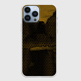 Чехол для iPhone 13 Pro Max с принтом Pittsburgh Penguins на спине в Санкт-Петербурге,  |  | canada | ice | nhl | pittsburgh penguins | sport | usa | зима | канада | лед | малкин | пингвины | питсбург | спорт | сша | хоккей | шайбу