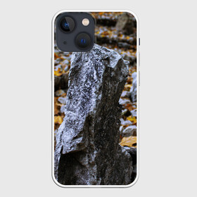 Чехол для iPhone 13 mini с принтом Осенняя лень в Санкт-Петербурге,  |  | апатия | вдохновение | грусть | депрессия | желтый | камень | камни | камушек | кризис | лень | листочек | листья | осень | природа | сезон | творчество | усталость