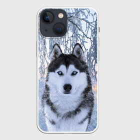 Чехол для iPhone 13 mini с принтом Хаски В Зимнем Лесу в Санкт-Петербурге,  |  | dog | forest | husky | winter | зима | лес | новый год | снег | собака | хаски