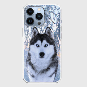 Чехол для iPhone 13 Pro с принтом Хаски В Зимнем Лесу в Санкт-Петербурге,  |  | Тематика изображения на принте: dog | forest | husky | winter | зима | лес | новый год | снег | собака | хаски
