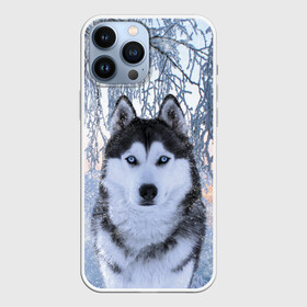 Чехол для iPhone 13 Pro Max с принтом Хаски В Зимнем Лесу в Санкт-Петербурге,  |  | Тематика изображения на принте: dog | forest | husky | winter | зима | лес | новый год | снег | собака | хаски