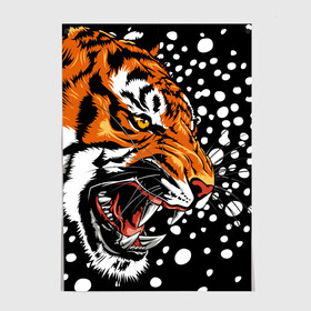 Постер с принтом Амурский тигр и снегопад в Санкт-Петербурге, 100% бумага
 | бумага, плотность 150 мг. Матовая, но за счет высокого коэффициента гладкости имеет небольшой блеск и дает на свету блики, но в отличии от глянцевой бумаги не покрыта лаком | 2022 | amur tiger | beast | grin | new year | night | open mouth | predator | profile | snowfall | winter | year of the tiger | амурский тигр | год тигра | зверь | зима | новый год | ночь | оскал | открытая пасть | профиль | снегопад | хищник